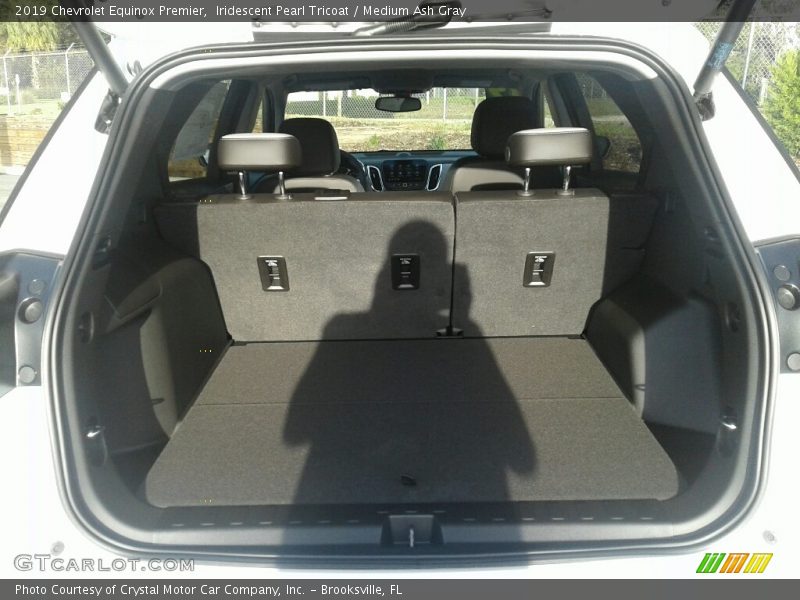 Iridescent Pearl Tricoat / Medium Ash Gray 2019 Chevrolet Equinox Premier