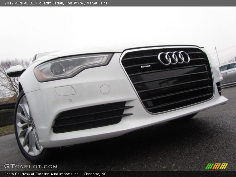 Ibis White / Velvet Beige 2012 Audi A6 3.0T quattro Sedan