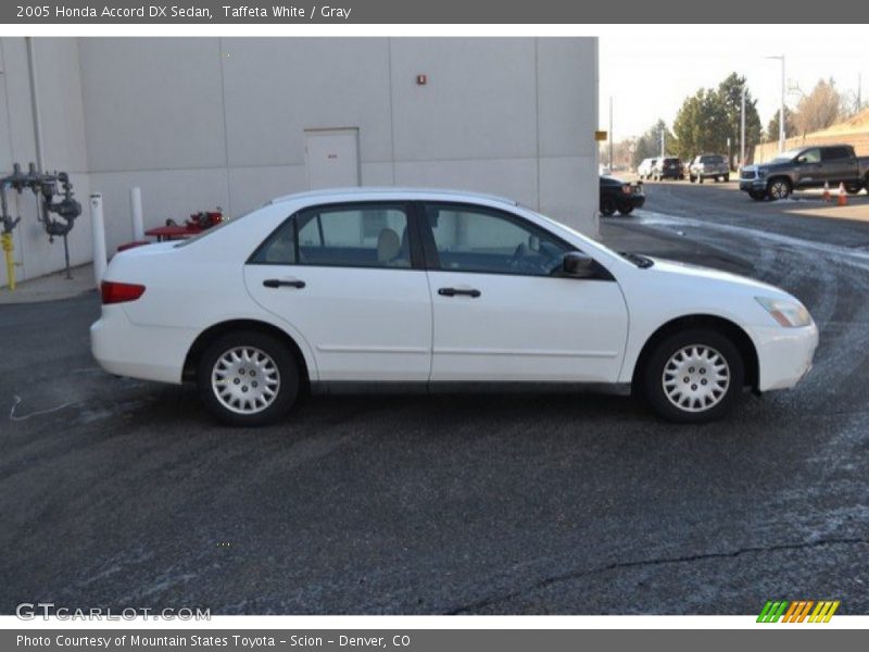 Taffeta White / Gray 2005 Honda Accord DX Sedan