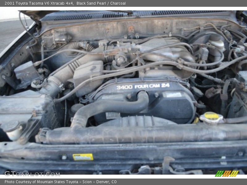 Black Sand Pearl / Charcoal 2001 Toyota Tacoma V6 Xtracab 4x4