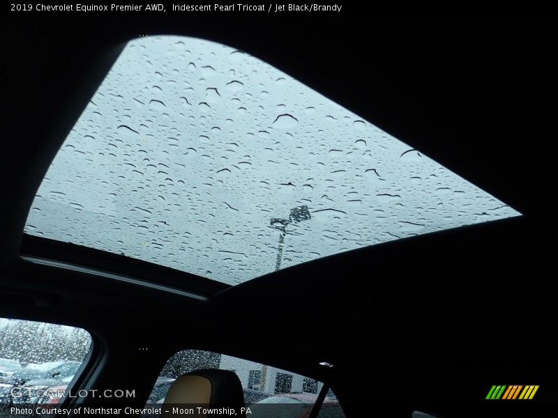 Iridescent Pearl Tricoat / Jet Black/Brandy 2019 Chevrolet Equinox Premier AWD