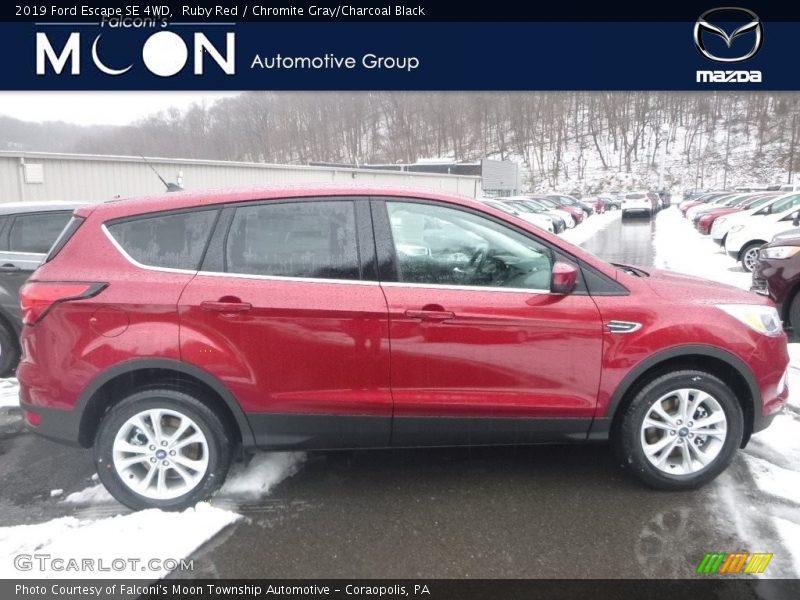 Ruby Red / Chromite Gray/Charcoal Black 2019 Ford Escape SE 4WD