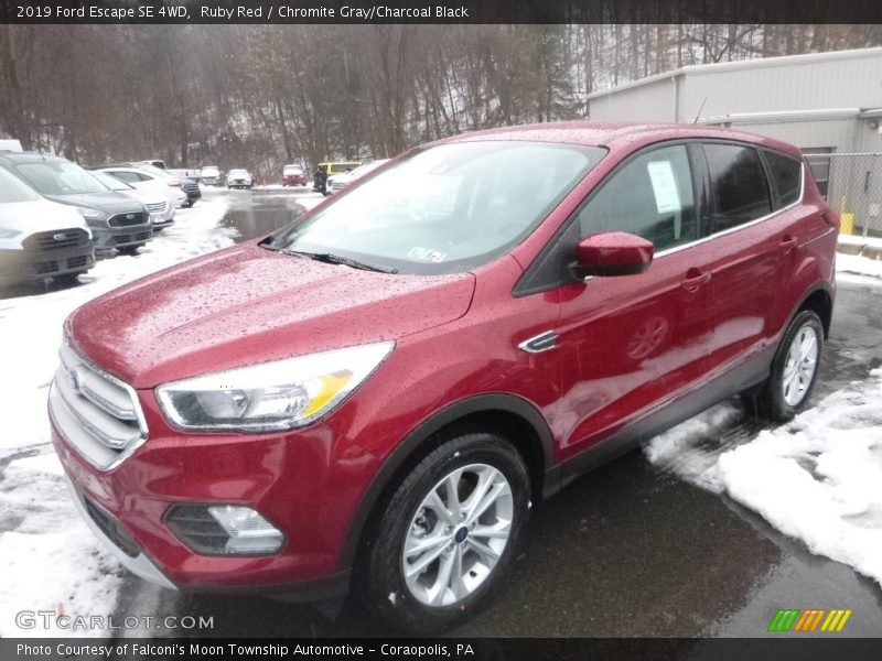 Ruby Red / Chromite Gray/Charcoal Black 2019 Ford Escape SE 4WD