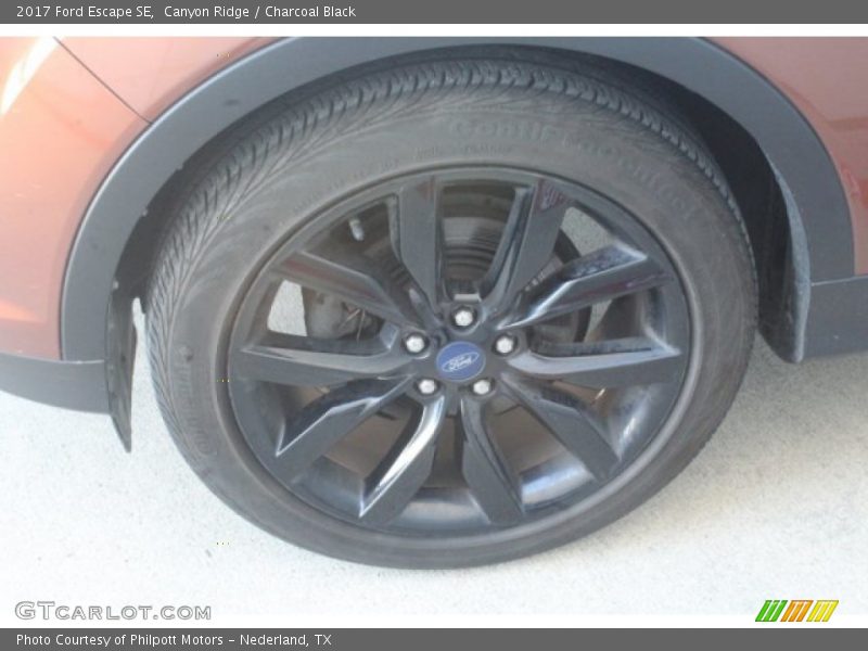 Canyon Ridge / Charcoal Black 2017 Ford Escape SE