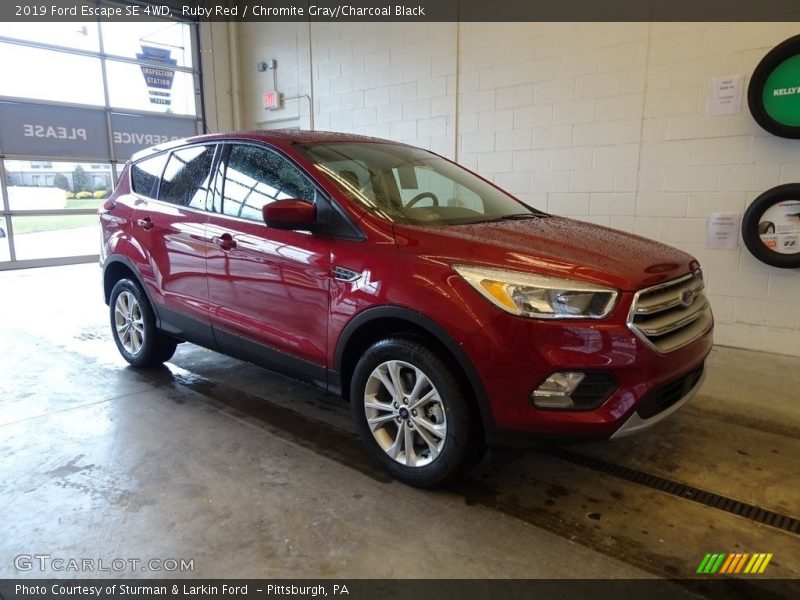 Ruby Red / Chromite Gray/Charcoal Black 2019 Ford Escape SE 4WD