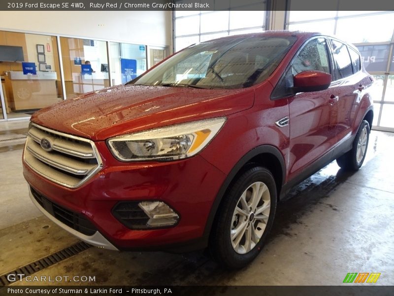 Ruby Red / Chromite Gray/Charcoal Black 2019 Ford Escape SE 4WD