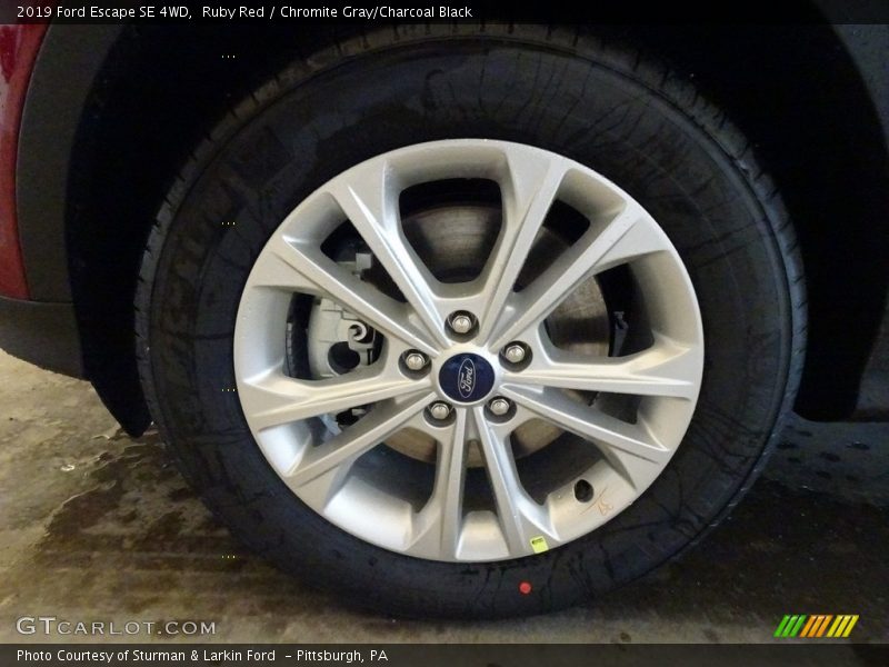Ruby Red / Chromite Gray/Charcoal Black 2019 Ford Escape SE 4WD