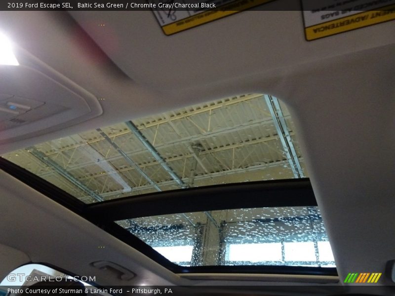 Baltic Sea Green / Chromite Gray/Charcoal Black 2019 Ford Escape SEL