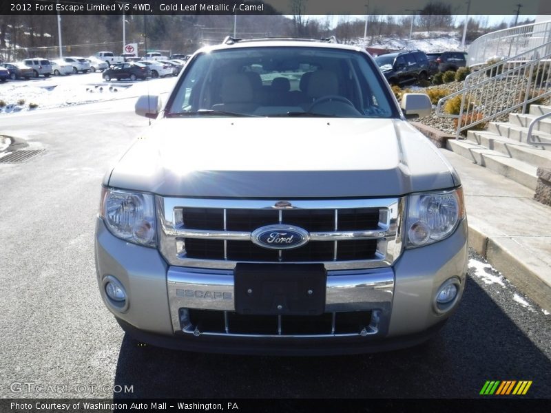 Gold Leaf Metallic / Camel 2012 Ford Escape Limited V6 4WD