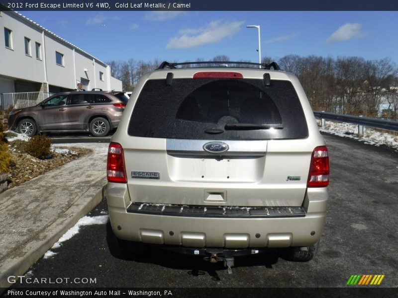 Gold Leaf Metallic / Camel 2012 Ford Escape Limited V6 4WD