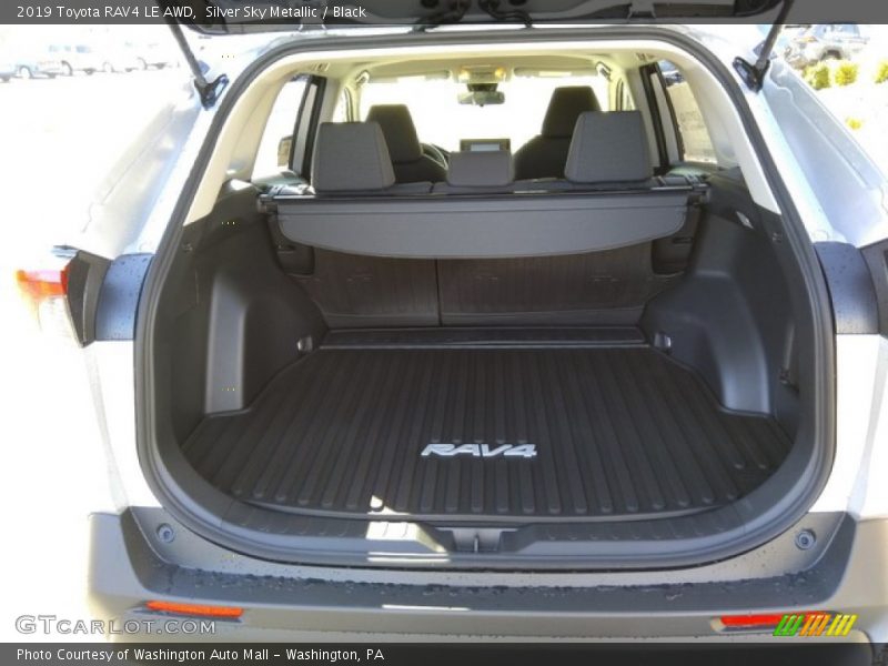 Silver Sky Metallic / Black 2019 Toyota RAV4 LE AWD