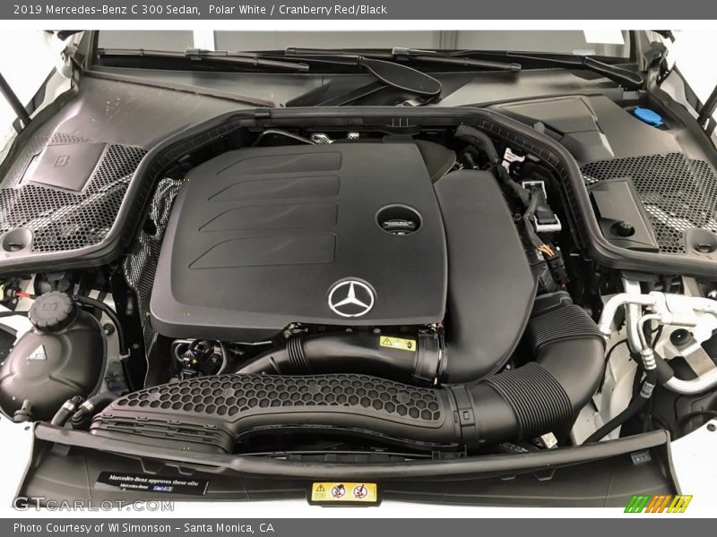 Polar White / Cranberry Red/Black 2019 Mercedes-Benz C 300 Sedan