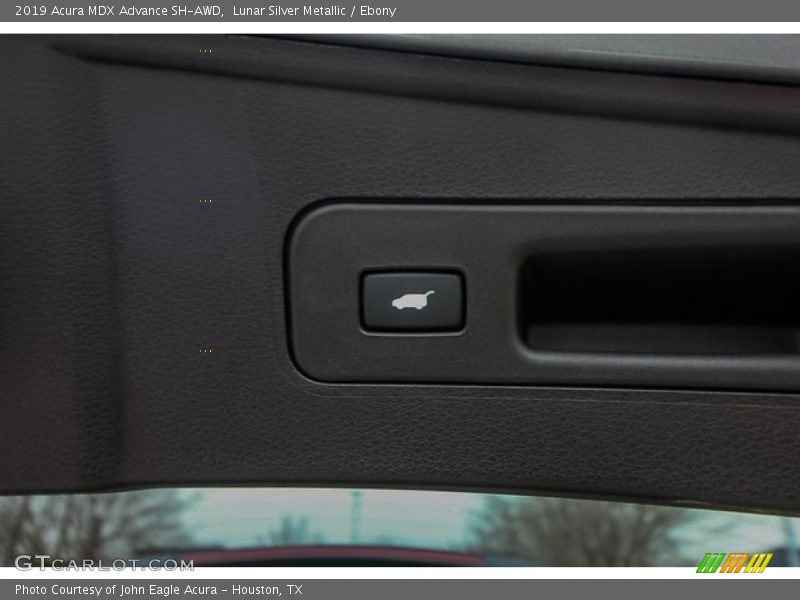 Lunar Silver Metallic / Ebony 2019 Acura MDX Advance SH-AWD