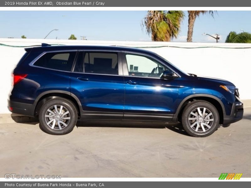 Obsidian Blue Pearl / Gray 2019 Honda Pilot EX AWD