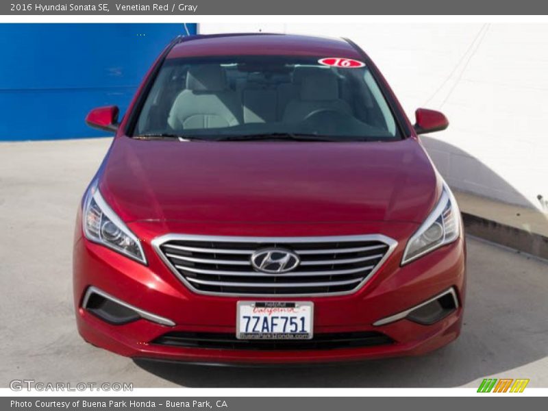 Venetian Red / Gray 2016 Hyundai Sonata SE