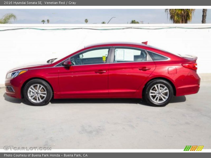 Venetian Red / Gray 2016 Hyundai Sonata SE