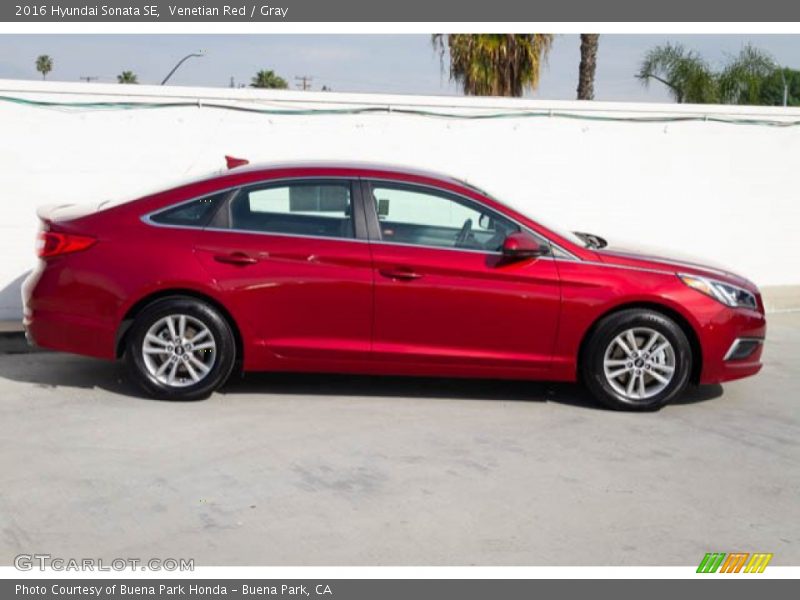 Venetian Red / Gray 2016 Hyundai Sonata SE