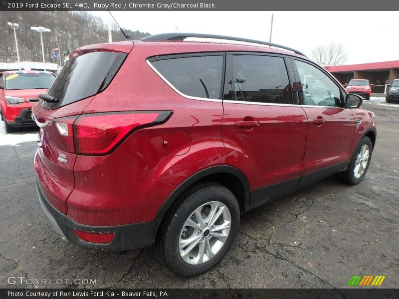 Ruby Red / Chromite Gray/Charcoal Black 2019 Ford Escape SEL 4WD