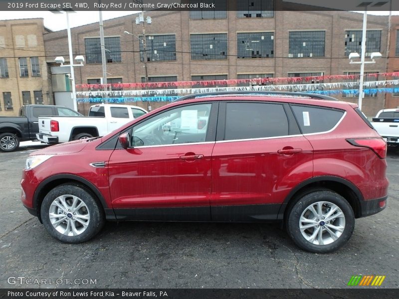 Ruby Red / Chromite Gray/Charcoal Black 2019 Ford Escape SEL 4WD