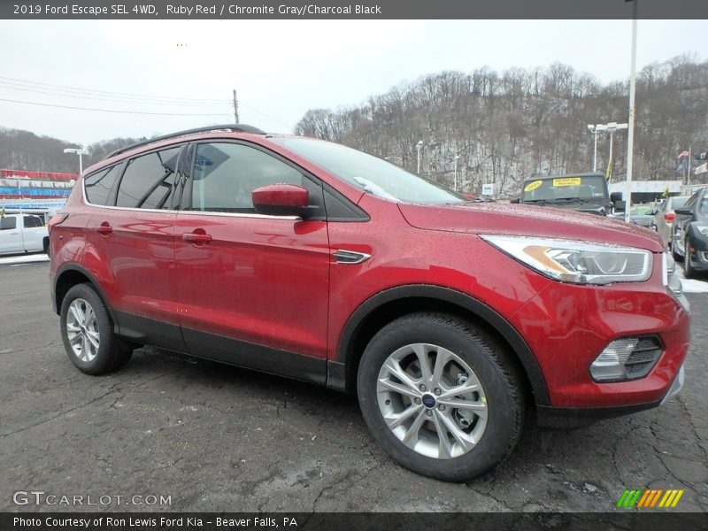 Ruby Red / Chromite Gray/Charcoal Black 2019 Ford Escape SEL 4WD