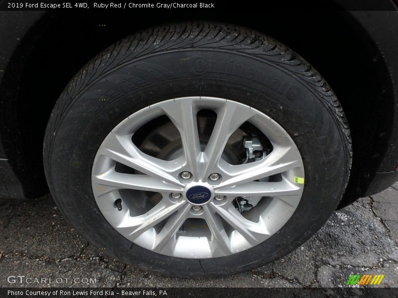 Ruby Red / Chromite Gray/Charcoal Black 2019 Ford Escape SEL 4WD