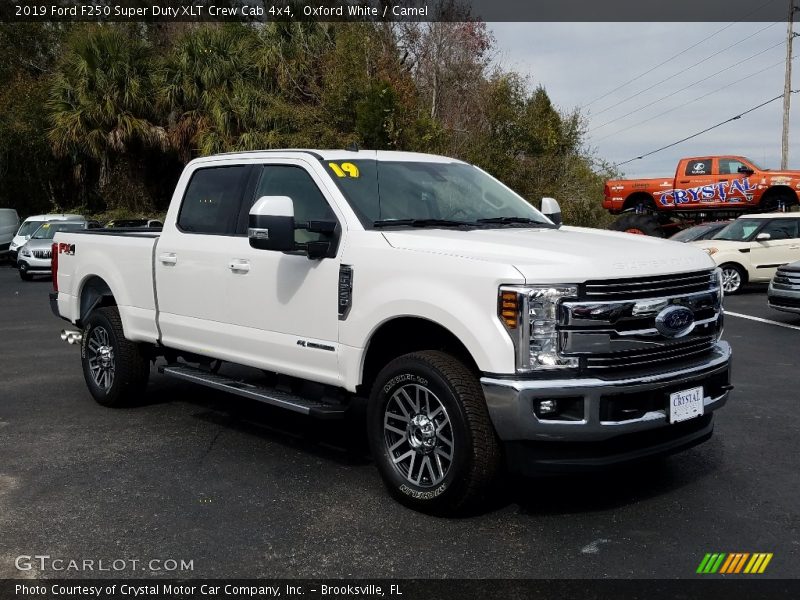 Front 3/4 View of 2019 F250 Super Duty XLT Crew Cab 4x4