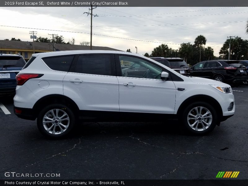 Oxford White / Chromite Gray/Charcoal Black 2019 Ford Escape SE