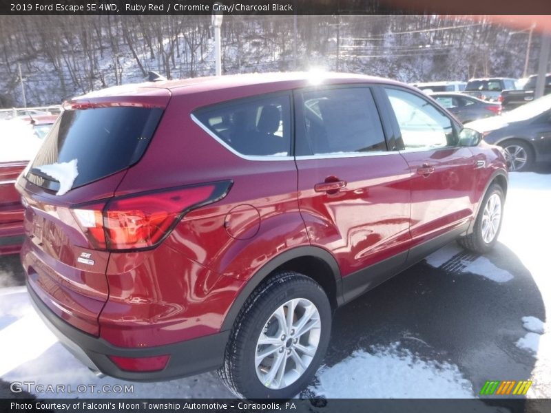 Ruby Red / Chromite Gray/Charcoal Black 2019 Ford Escape SE 4WD