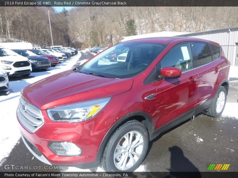 Ruby Red / Chromite Gray/Charcoal Black 2019 Ford Escape SE 4WD