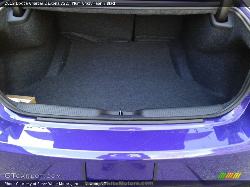Plum Crazy Pearl / Black 2019 Dodge Charger Daytona 392