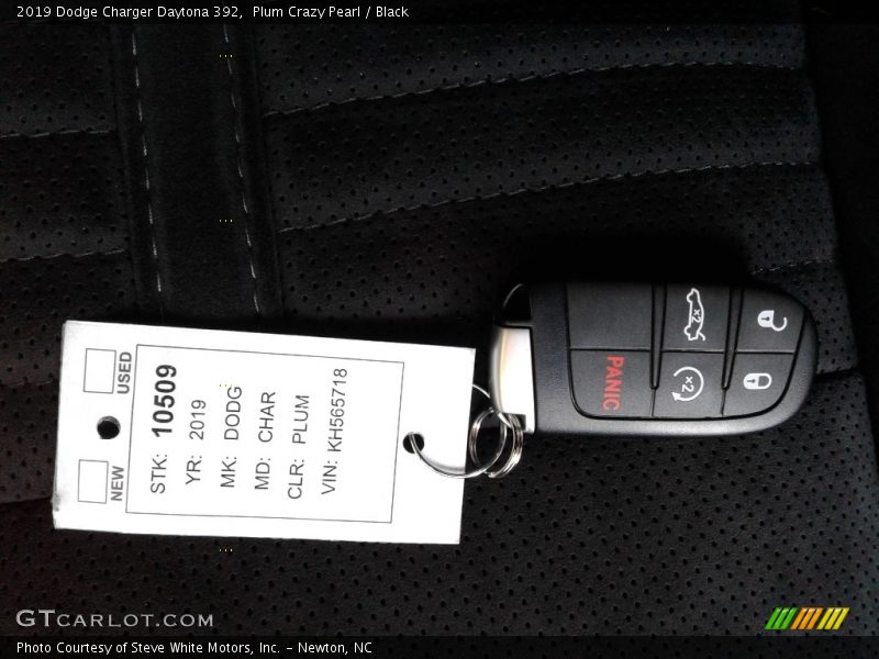 Plum Crazy Pearl / Black 2019 Dodge Charger Daytona 392