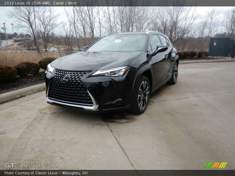 Caviar / Birch 2019 Lexus UX 250h AWD
