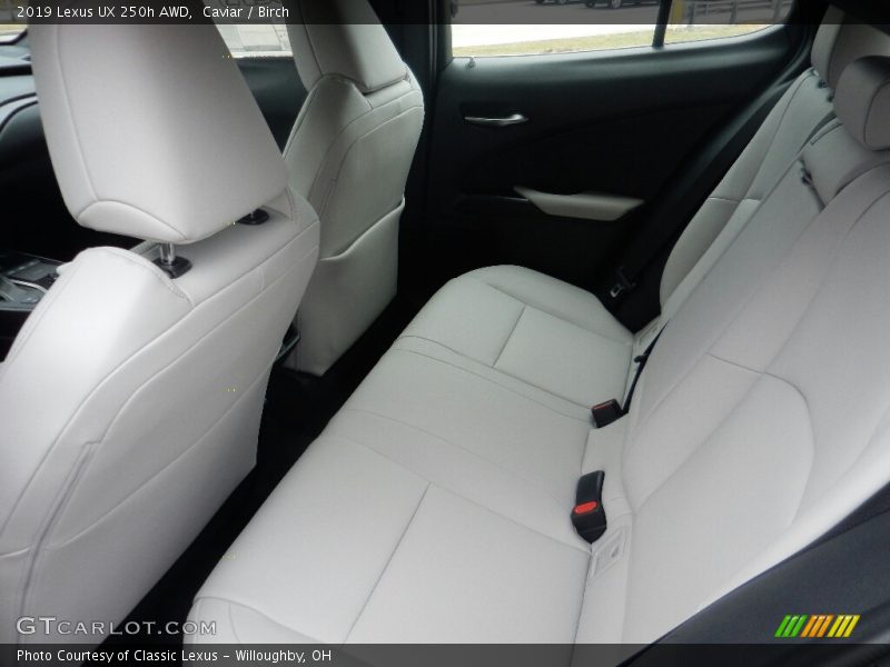 Caviar / Birch 2019 Lexus UX 250h AWD