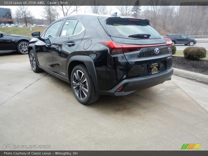 Caviar / Birch 2019 Lexus UX 250h AWD