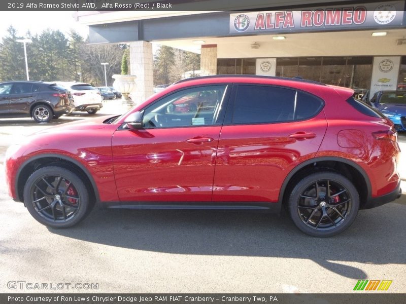 Alfa Rosso (Red) / Black 2019 Alfa Romeo Stelvio AWD