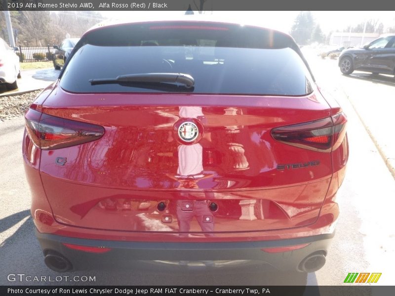 Alfa Rosso (Red) / Black 2019 Alfa Romeo Stelvio AWD