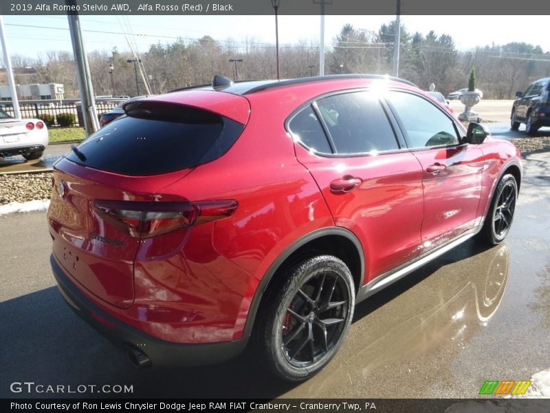 Alfa Rosso (Red) / Black 2019 Alfa Romeo Stelvio AWD