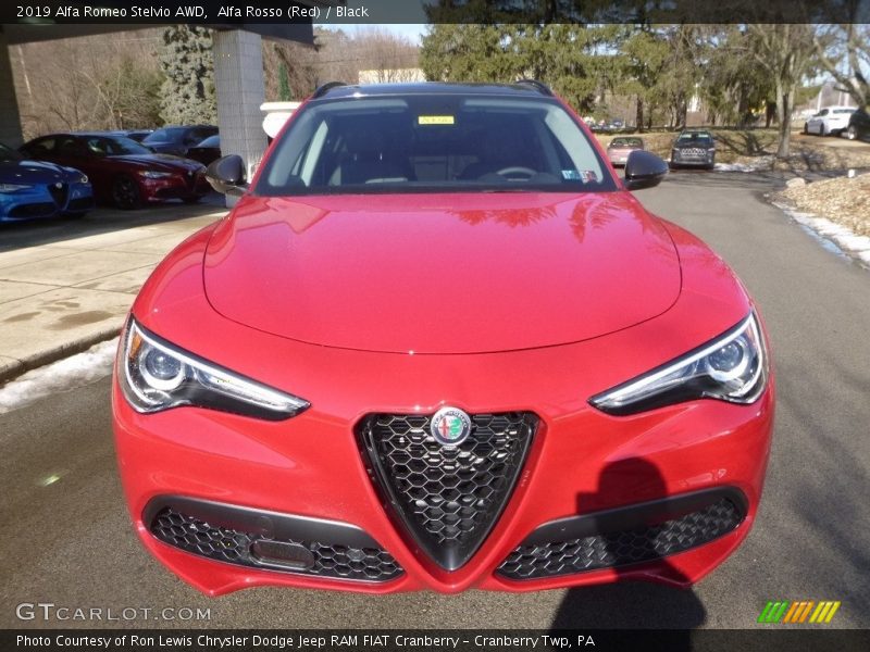 Alfa Rosso (Red) / Black 2019 Alfa Romeo Stelvio AWD