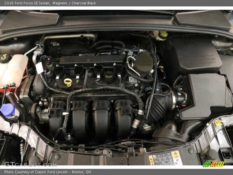 Magnetic / Charcoal Black 2016 Ford Focus SE Sedan