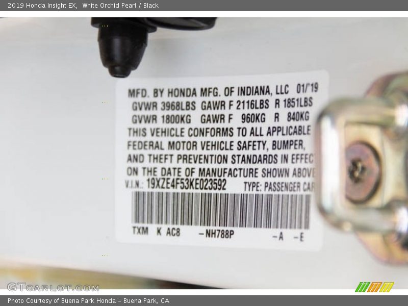 White Orchid Pearl / Black 2019 Honda Insight EX