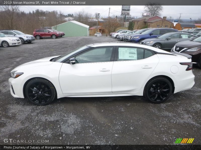  2019 Maxima SR Pearl White Tricoat