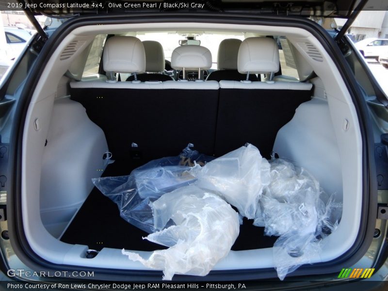 Olive Green Pearl / Black/Ski Gray 2019 Jeep Compass Latitude 4x4