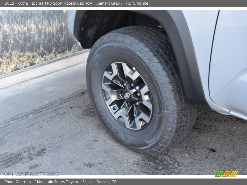 Cement Gray / TRD Graphite 2019 Toyota Tacoma TRD Sport Access Cab 4x4