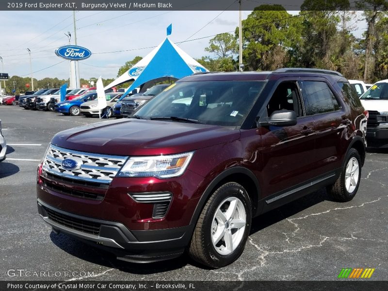 Burgundy Velvet / Medium Black 2019 Ford Explorer XLT