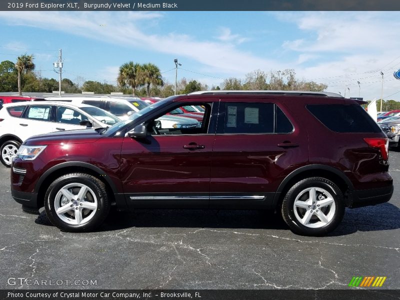 Burgundy Velvet / Medium Black 2019 Ford Explorer XLT