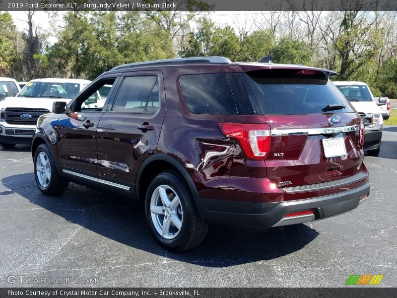 Burgundy Velvet / Medium Black 2019 Ford Explorer XLT