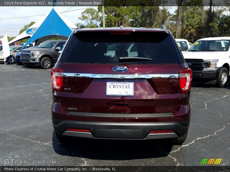 Burgundy Velvet / Medium Black 2019 Ford Explorer XLT