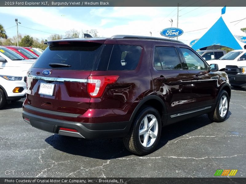 Burgundy Velvet / Medium Black 2019 Ford Explorer XLT