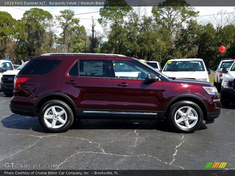 Burgundy Velvet / Medium Black 2019 Ford Explorer XLT