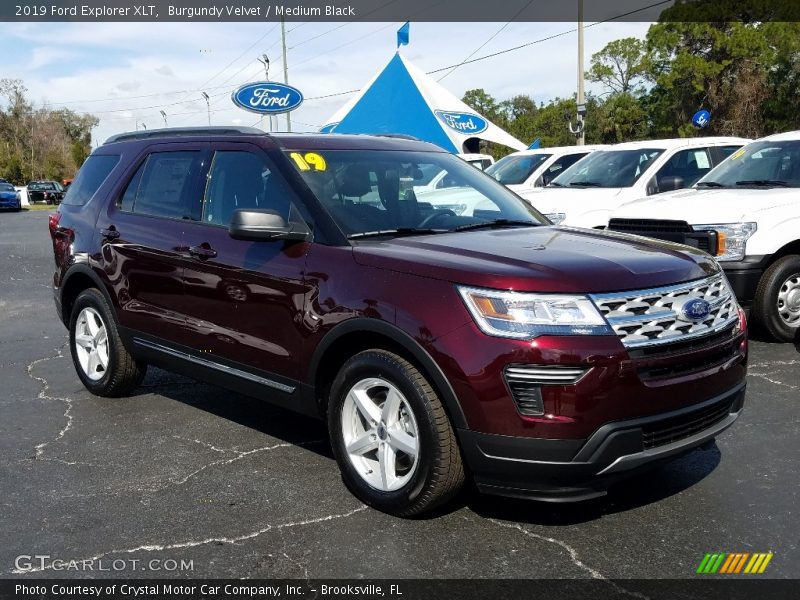 Burgundy Velvet / Medium Black 2019 Ford Explorer XLT